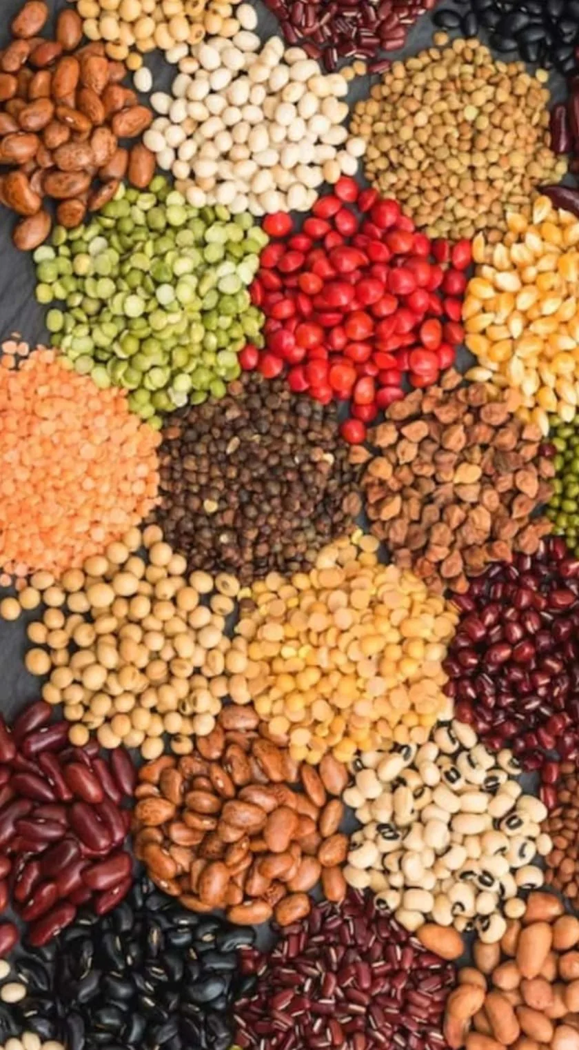Assorted pulses and beans arranged side by side
