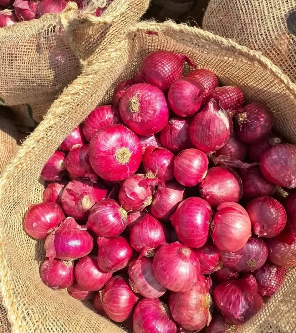 Red onions in an open jute sack
