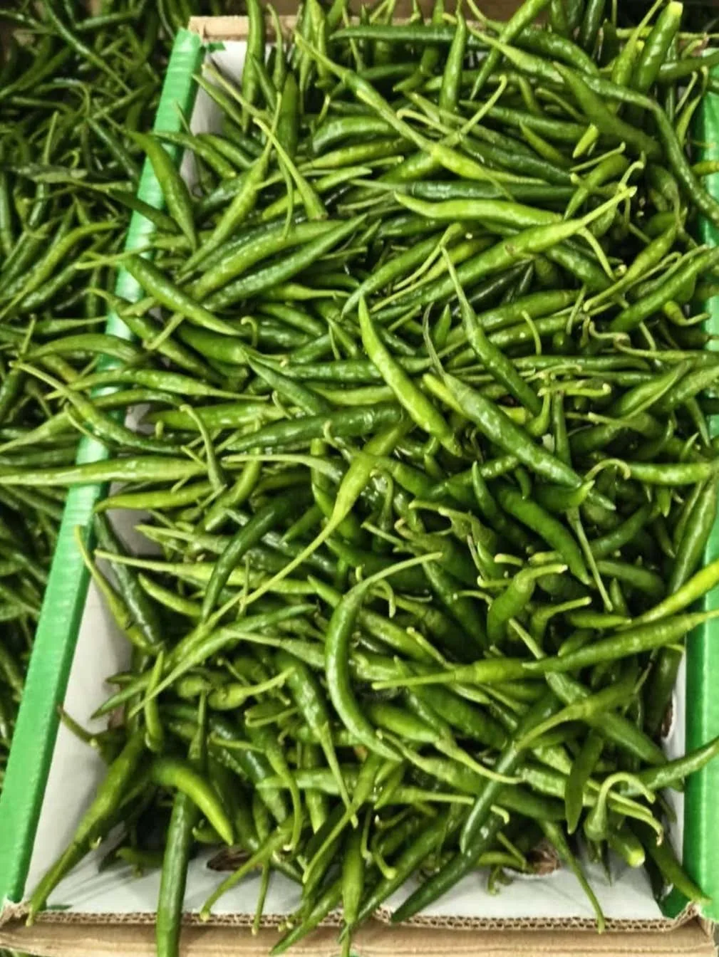 Fresh green chillies packed in a crate