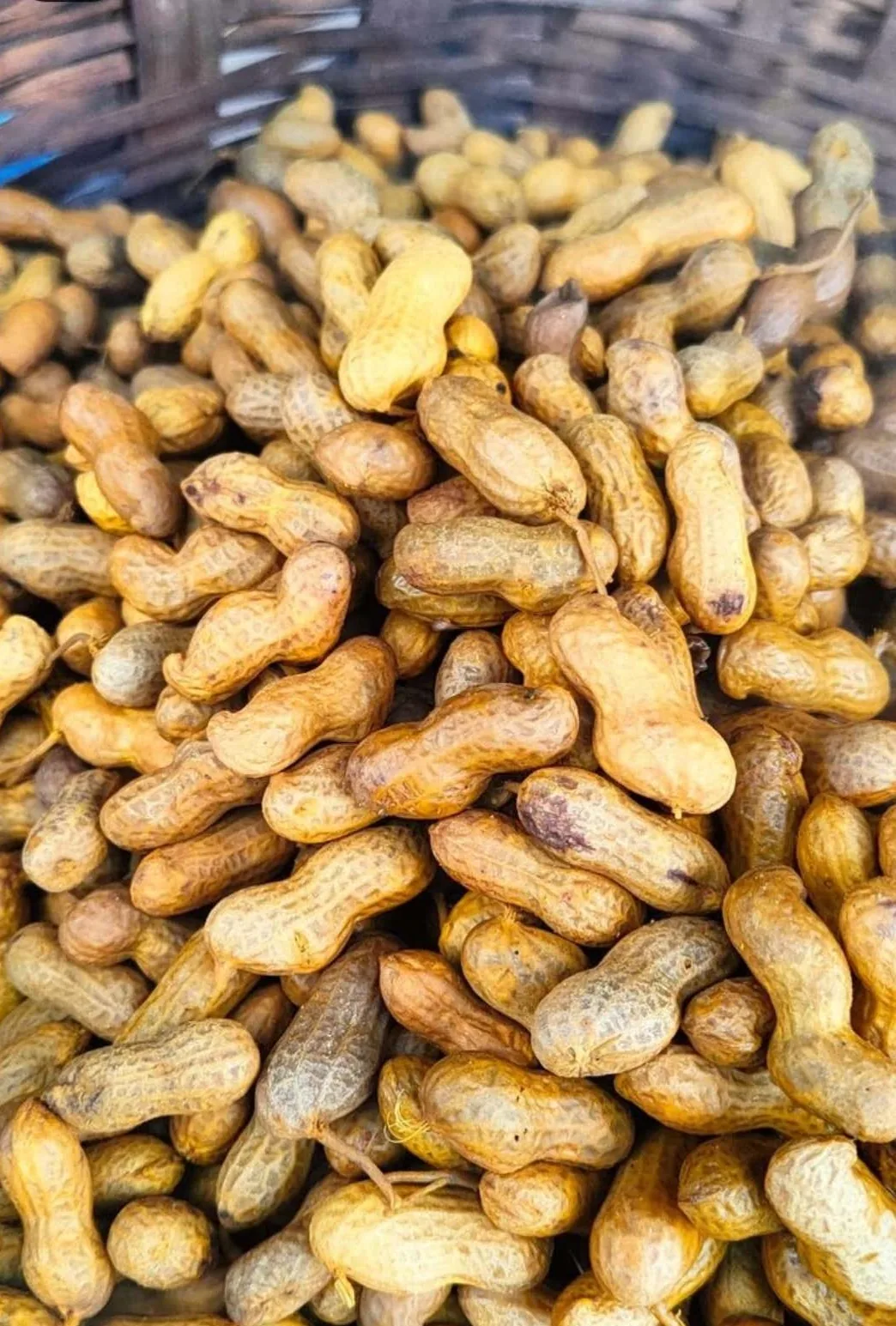 In-shell peanuts in a woven basket