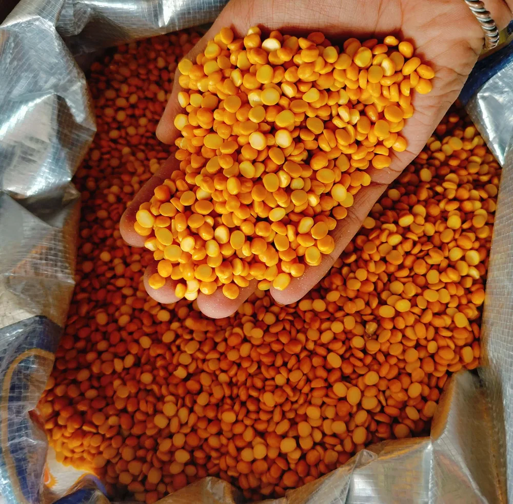 Chana dal held over an open bag