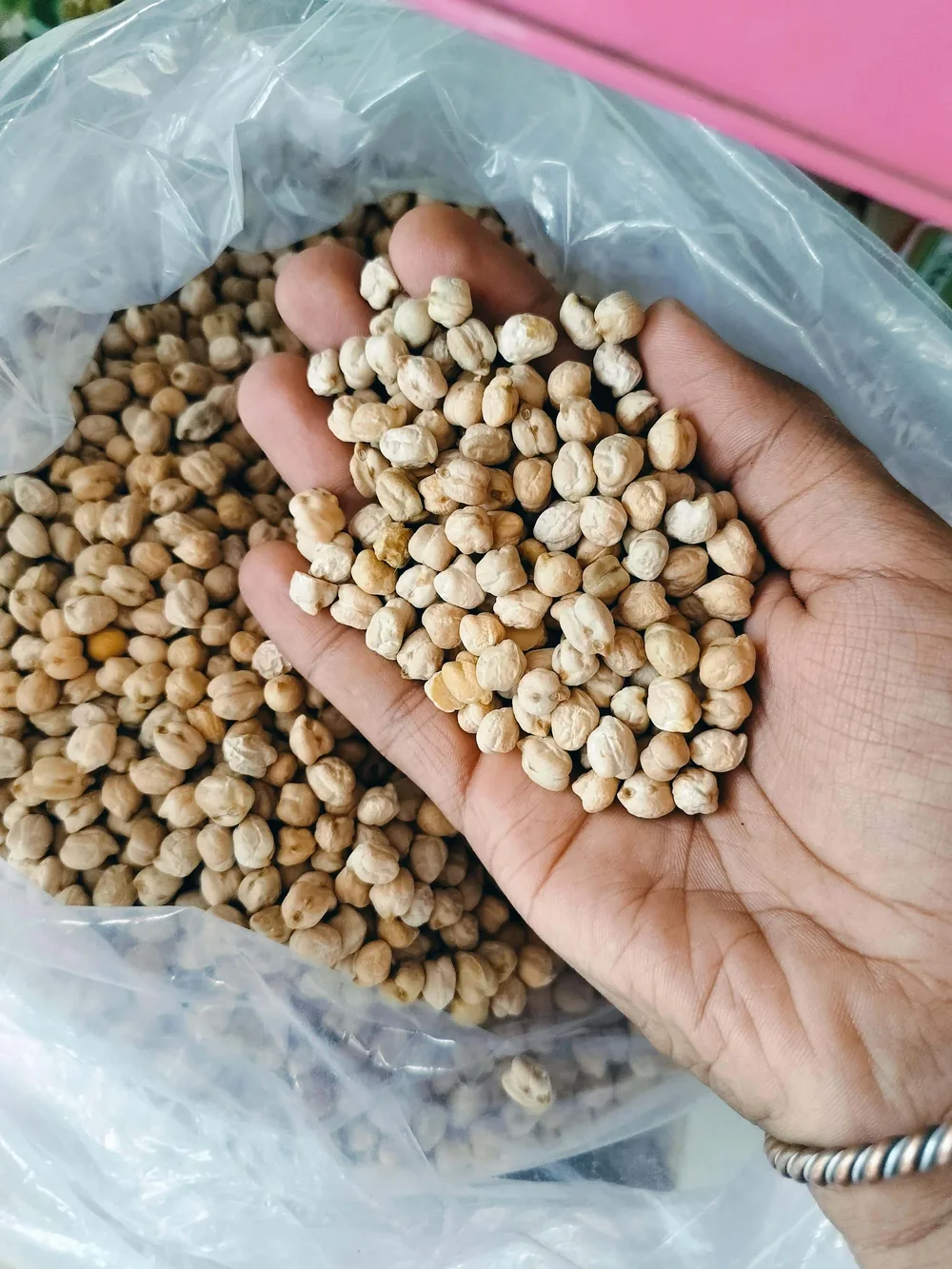 Chickpeas held over an open bag