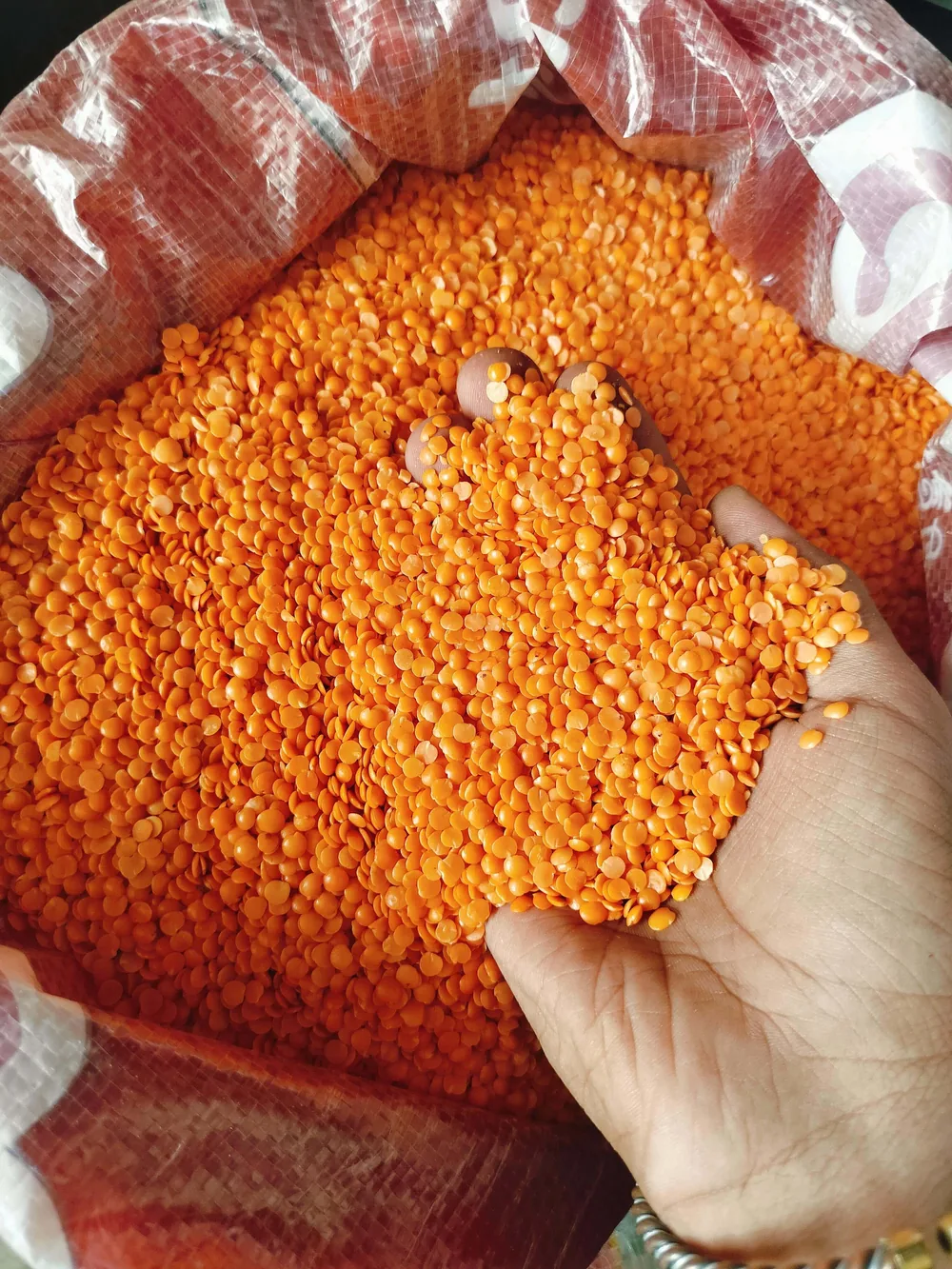 Masoor dal held over an open bag