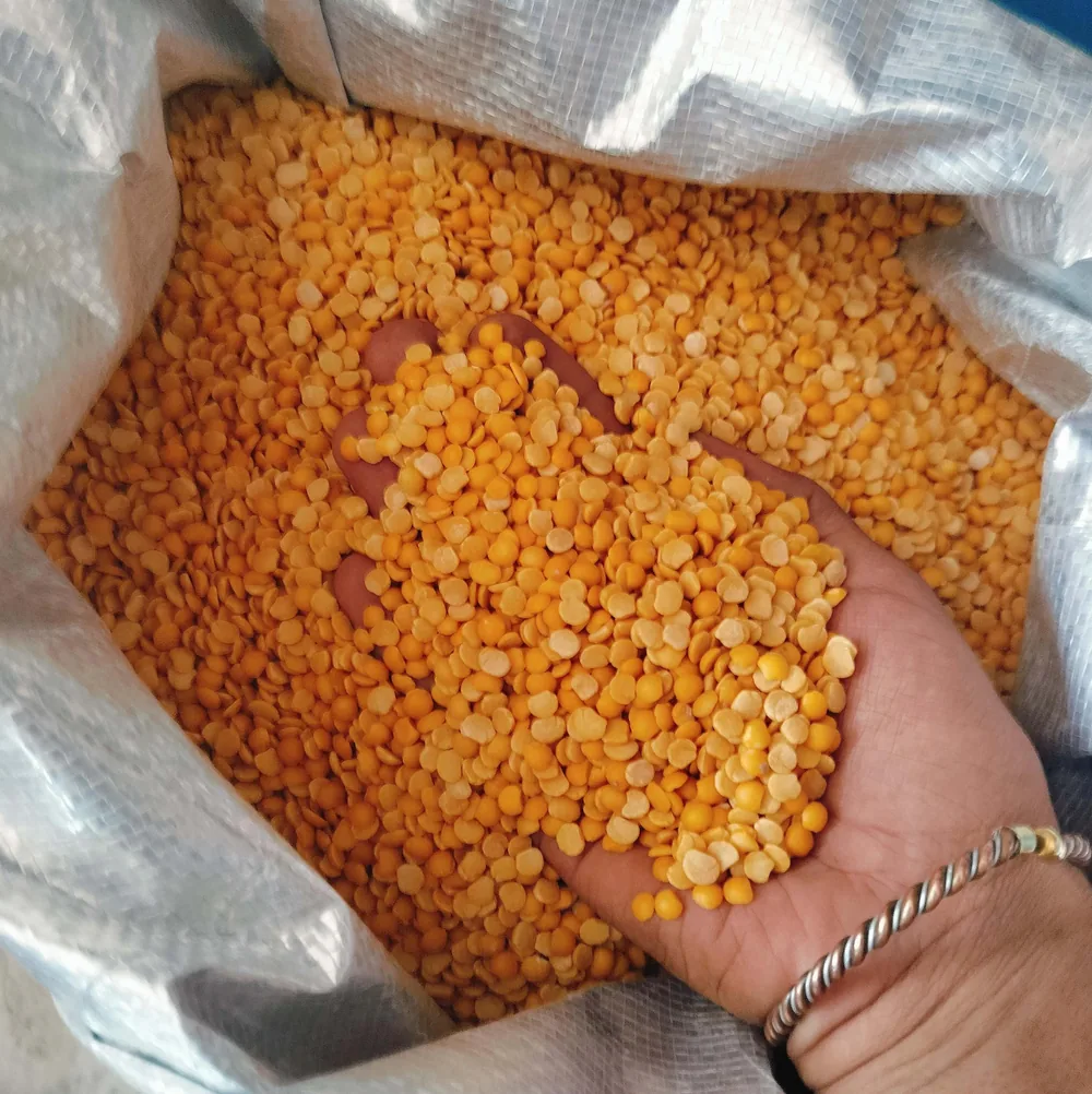 Toor dal held over an open bag