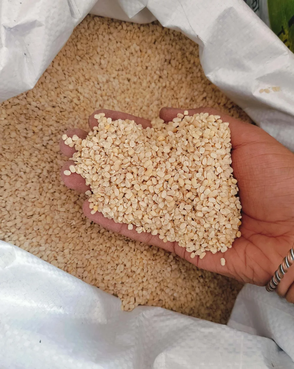 Urad dal held over an open sack